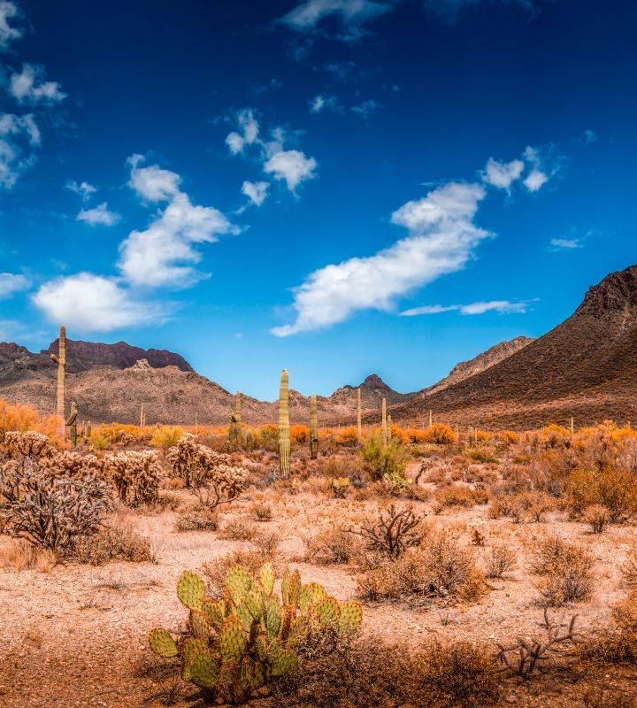 Photo pittoresque de Arizona