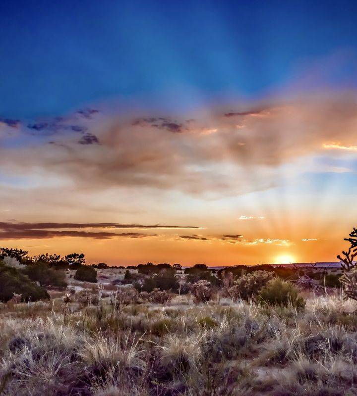 Scenic photo of New Mexico