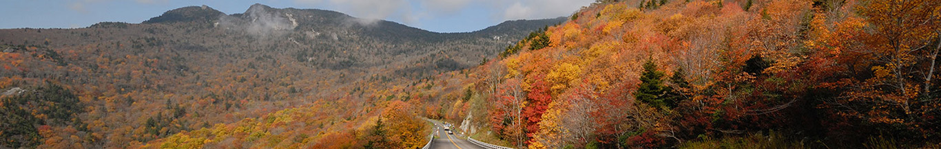 Trailways Bus Service and Charter Bus Rentals - Autumn Road
